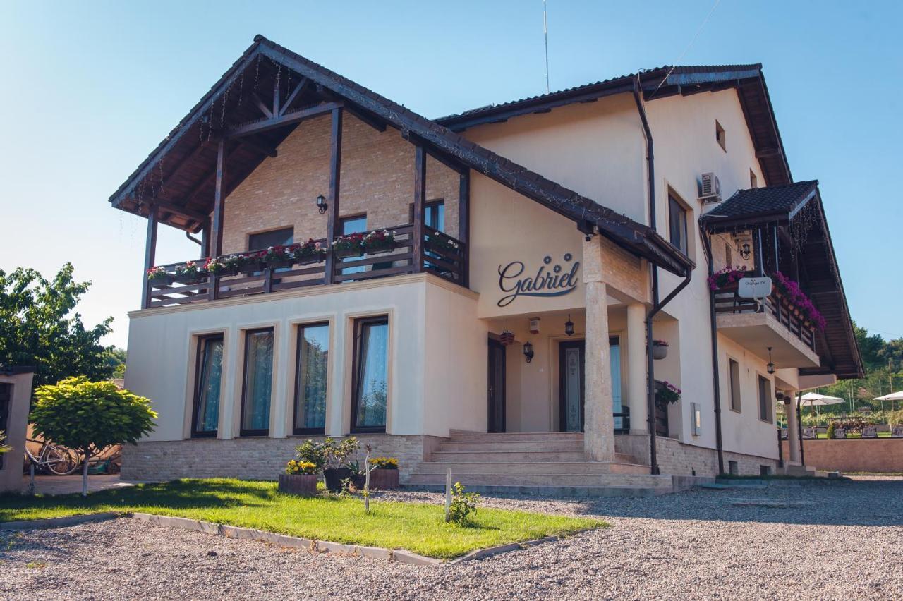 Pensiunea Gabriel Corcova Exterior foto